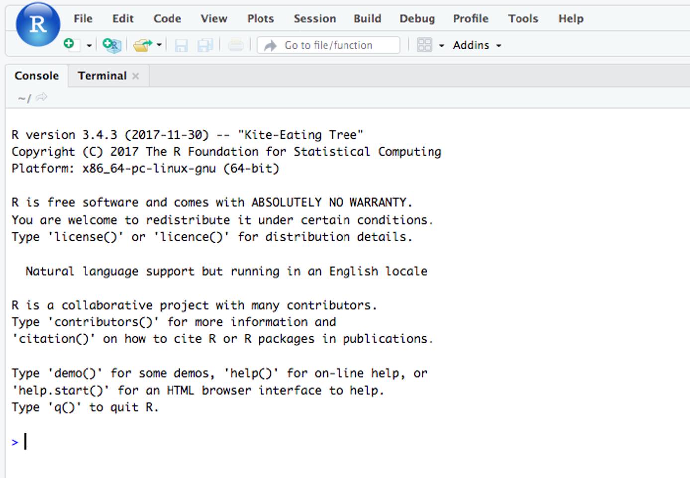 Rstudio Screen Rstudio Screen
